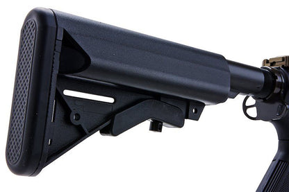 אבאלון urgi של חברת VFC